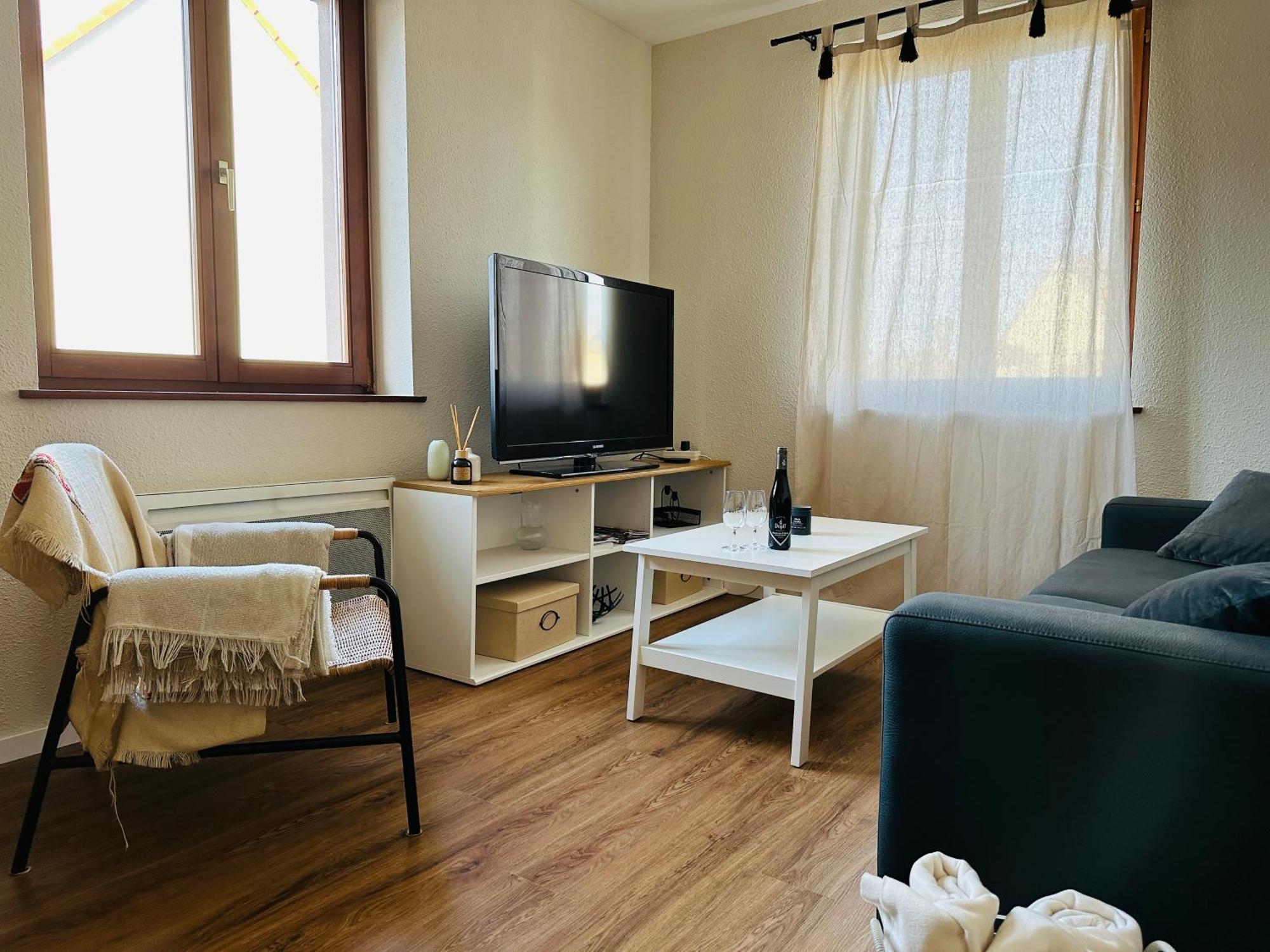 Charmant Appartement 2 Pieces Ostheim Εξωτερικό φωτογραφία